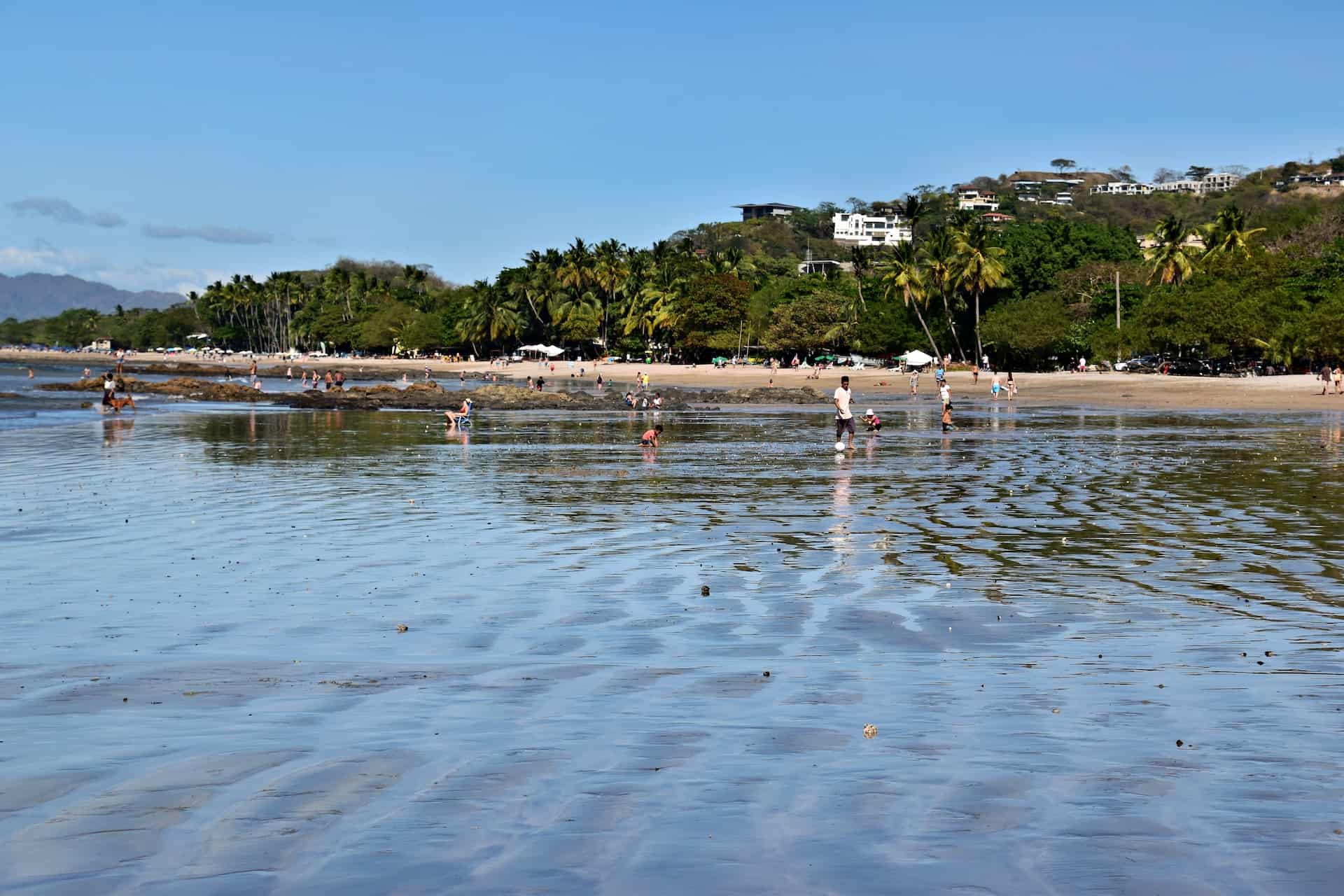 Tamarindo