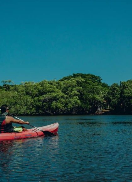 Kayaks15-e1536804419776 Kayaks15-e1536804419776