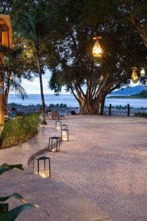 Restaurants in Tamarindo Restaurants in Tamarindo