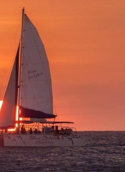 e3 Tamarindo Tours